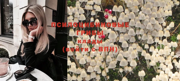 шишки Елабуга