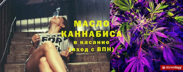a pvp Ельня