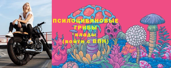 шишки Елабуга