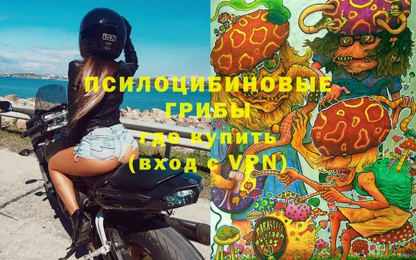 шишки Елабуга