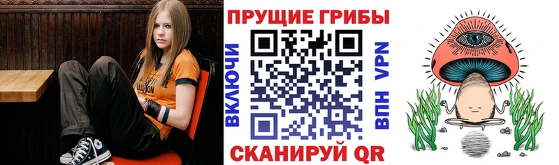 Псилоцибиновые грибы GOLDEN TEACHER  Купить где  Воркута 